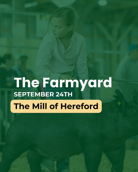 A promotional flyer for the farmyard event at the mill of hereford with a pig and child in the background