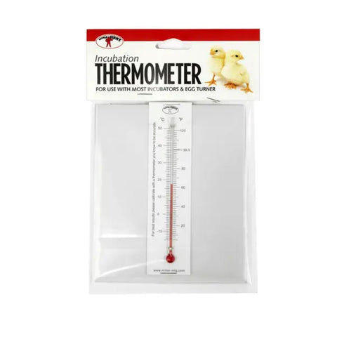 Incubator Thermometer 