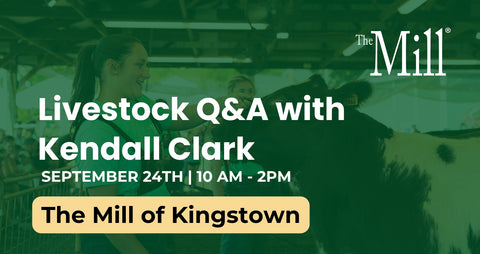 Promotional graphic for a Livestock Q&A event with Kendall Clark, featuring a cow and a person in the background under a green overlay, with text reading 'The Mill' and 'The Mill of Kingstown'.