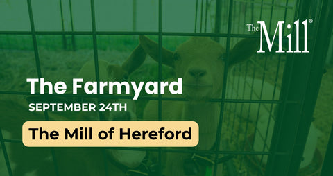 Promotional graphic for an event at The Mill of Hereford, featuring a sheep behind a wire fence under a green overlay with text reading 'The Farmyard', 'SEPTEMBER 24TH', and 'The Mill of Hereford'.