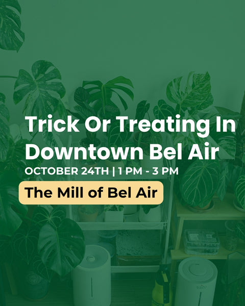 Flyer for Trick or Treating In Downtown Bel Air with a trick or treater in the background