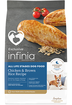 Exclusive Infinia Chicken and Brown Rice dry dog food bag showing the front packaging with images of chicken and rice.