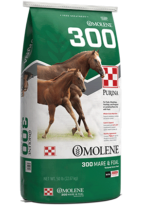 Purina Omolene 300 Growth Horse Feed