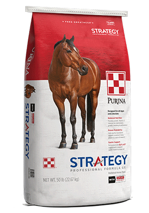 Purina Strategy Professional Formula GX Horse Feed