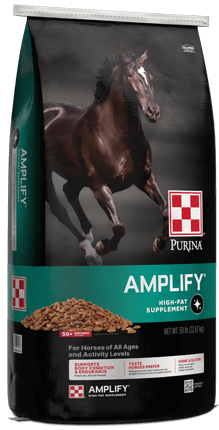 Purina Amplify High-Fat Horse Supplement
