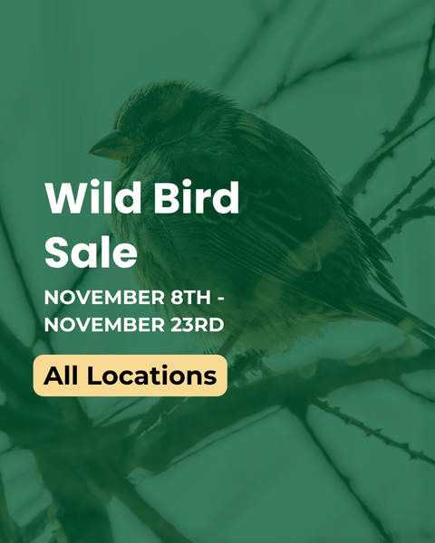 Wild Bird Sale