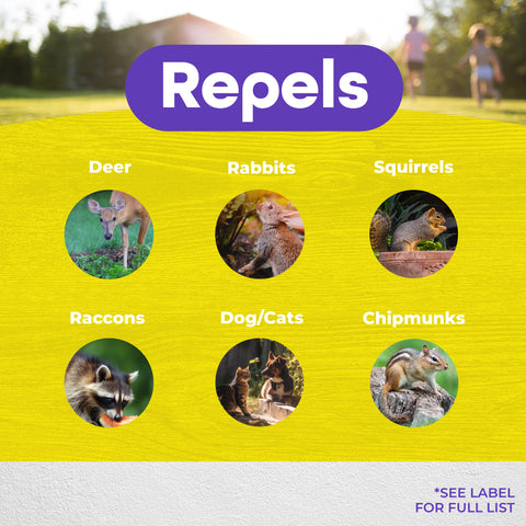 A promotional graphic for a repellent product, with the word 'Repels' in white on a purple banner above six circular animal photos labeled Deer, Rabbits, Squirrels, Raccoons, Dog/Cats, and Chipmunks, all on a bright yellow background.