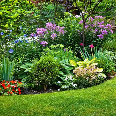 Garden with a variety of plants and flowers including purple, blue, and red flowers.