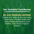 LebanonTurf Lebanon Pro 0-0-7 fertilizer bag with Acelepryn insecticide, featuring a green and white label and product branding.