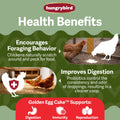 Hungrybird Golden Egg Suet Chicken Treat for poultry, showing a colorful packaging with suet treats for chickens and birds.