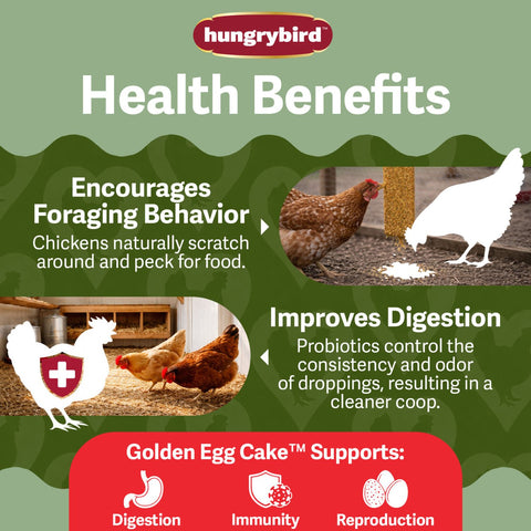 Hungrybird Golden Egg Suet Chicken Treat for poultry, showing a colorful packaging with suet treats for chickens and birds.