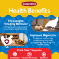 Hungrybird Chick Cake Suet Treat for poultry, showing a colorful cake-shaped treat designed for chickens and young birds
