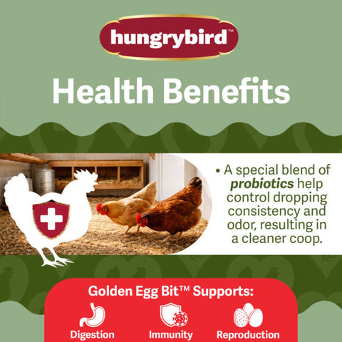 Hungrybird Golden Egg Suet Bits chicken treat for poultry, showing a close-up of the savory, golden egg suet bits in a natural setting.