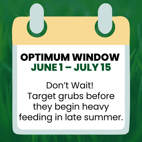 LebanonTurf Acelepryn lawn fertilizer and grub control bag, showing product label and packaging for 15-0-5 .067 formula.