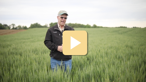 Man standing in a field with a play button icon overlay