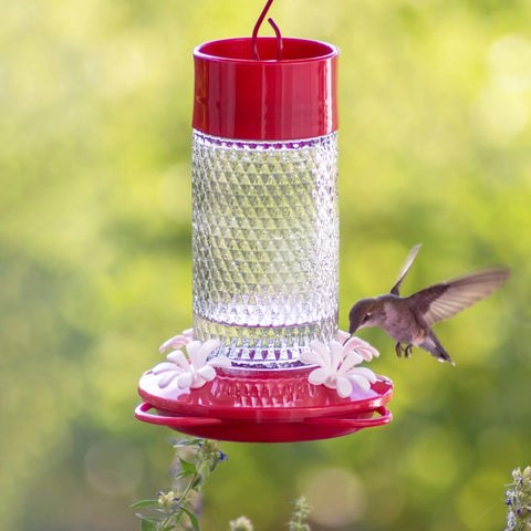 Red and clear hummingbird feeder with a hummingbird in flight against a green blurred background
