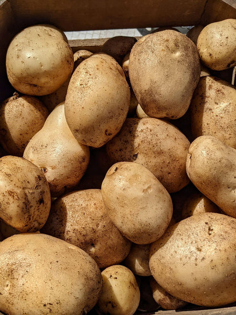 Potatoes 