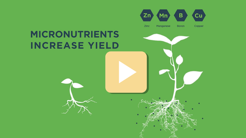 Green background with plant illustration, micronutrient symbols, and text about increasing yield with micronutrients.