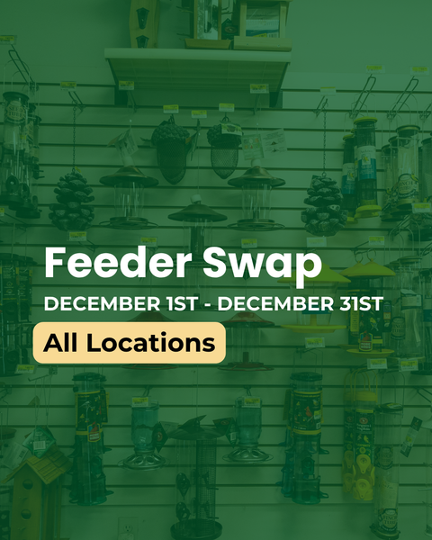 Feeder Swap