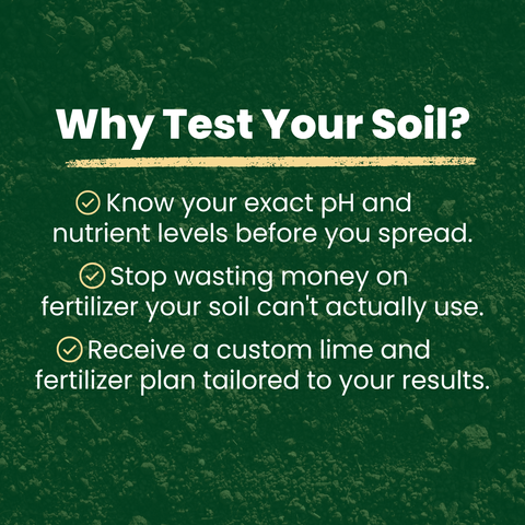 Soil sample for laboratory testing by The Mill, showing a close-up of soil in a testing container for soil analysis.