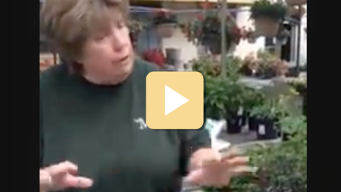 woman standing in front of green garden with play button overlay