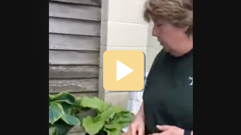 Person standing outdoors next to a plant with a play button overlay