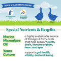 Honest to Goodness Duck and Blueberry Dog Treats by The Mill, protein bites with duck and blueberry flavor, shown in the image.