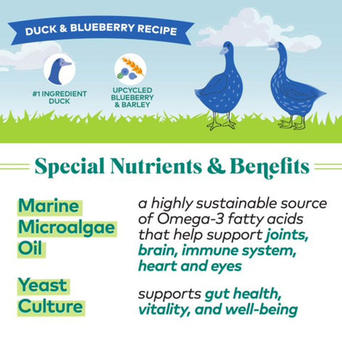 Honest to Goodness Duck and Blueberry Dog Treats by The Mill, protein bites with duck and blueberry flavor, shown in the image.