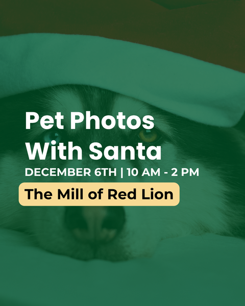 Pet Photos With Santa | The Mill of Red Lion