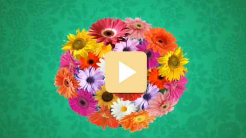 bouquet of flowers with green background and play button overlay