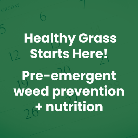 LebanonTurf Step 1 18-0-4 Prodiamine pre-emergent crabgrass control and lawn fertilizer in a container.