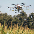 Drone flying over a cornfield with trees in the background