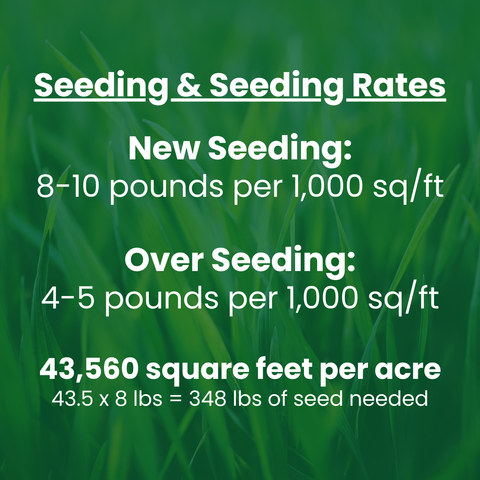 The Mill Duragraze Pasture Grass Seed Mix for forage seed, showing fresh green grass in a lush pasture setting.