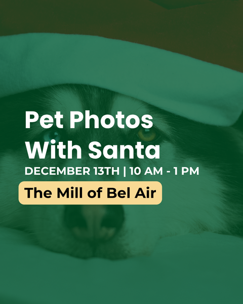 Pet Photos With Santa | The Mill of Bel Air