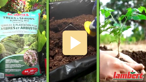 Gardening video montage with soil, planting, and Lambert product packaging.