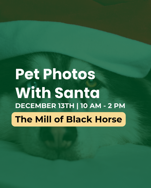Pet Photos With Santa | The Mill of Black Horse