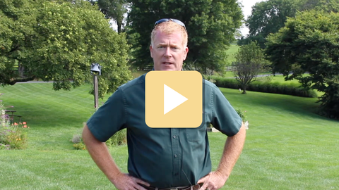 Man standing in a grassy yard with a play button overlay
