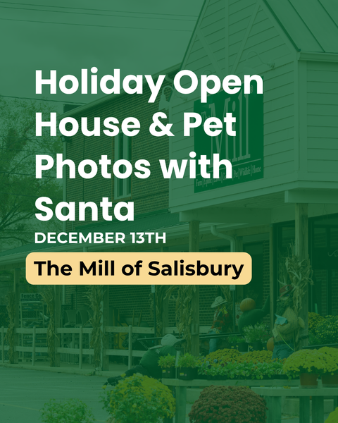 Holiday Open House with Pet Photos with Santa