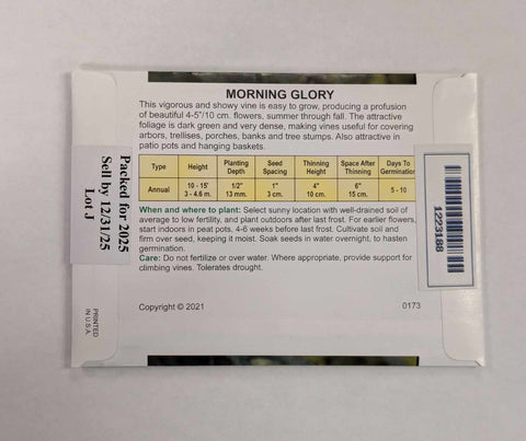 Pack of Morning Glory Flower Seeds 