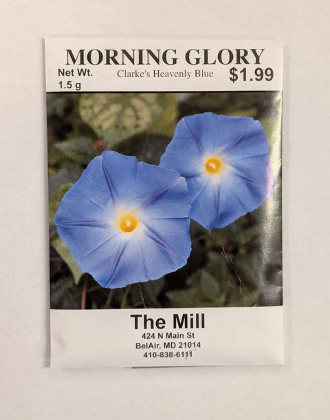 Pack of Morning Glory Seeds