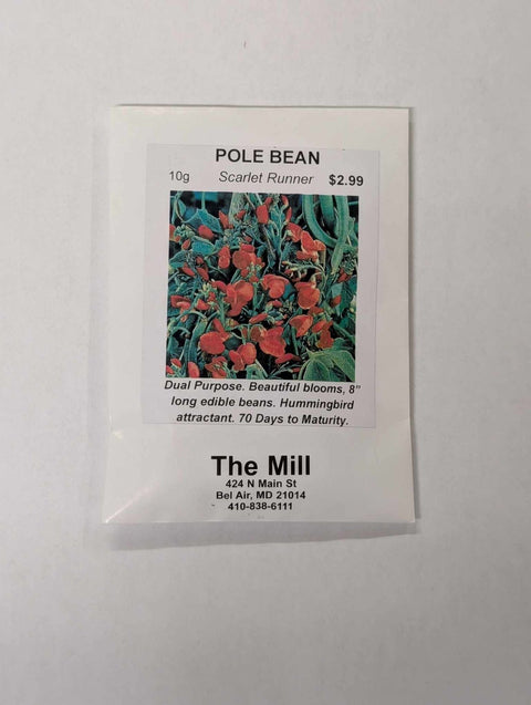 Packet of Pole Bean Seeds 