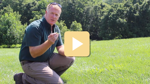 Man in a green shirt and sunglasses kneeling in a grassy field with a play button overlay.