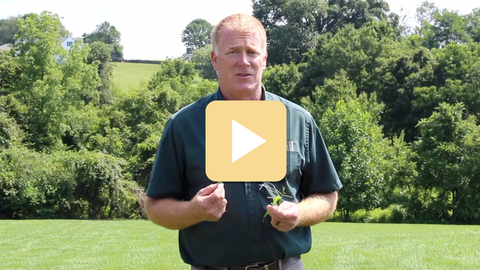 Man holding a play button icon in a grassy outdoor setting