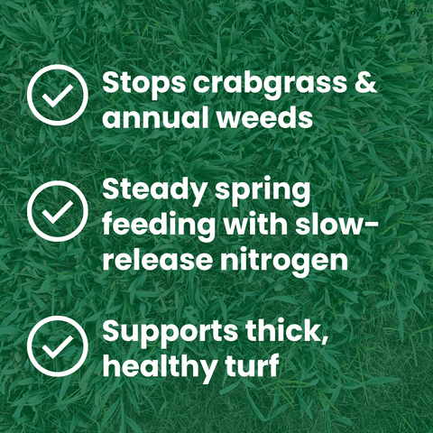 LebanonTurf Step 1 18-0-4 pre-emergent crabgrass control and lawn fertilizer in a granular form for healthy turf.
