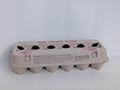 Egg Carton