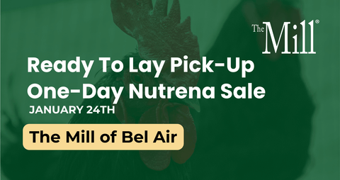 Advertisement for a one-day Nutrena sale at The Mill of Bel Air with text overlay.