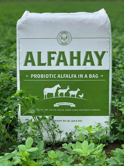 Alfahay® Alfalfa Forage horse feed in 50 lb bag, fresh green alfalfa hay with leafy, tender stems suitable for equine nutrition.