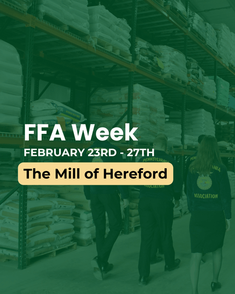 FFA Week