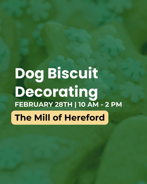 Dog Biscuit Decorating