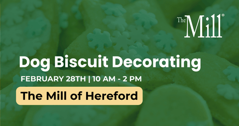 Advertisement for dog biscuit decorating event at The Mill of Hereford with a green background.